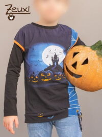 Zeuxl | Faszination Vollmond