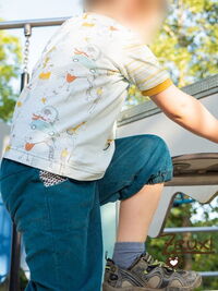 Zeuxl | Hunde on Tour