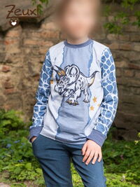 Zeuxl | Langarm-Shirts in 134