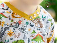 Zeuxl | Sommershirts