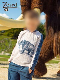 Zeuxl | Louris Shirt