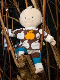 Zeuxl | Tunichtgut mit Äpfeln