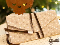 Zeuxl | Sternenumschlag